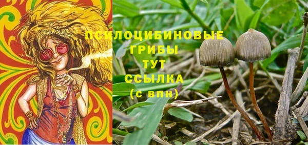 мяу мяу мука Алзамай