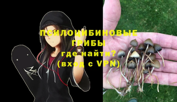 мяу мяу мука Алзамай