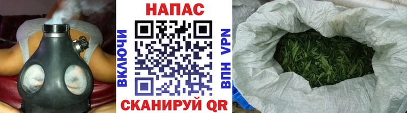 Бошки Шишки конопля Бикин